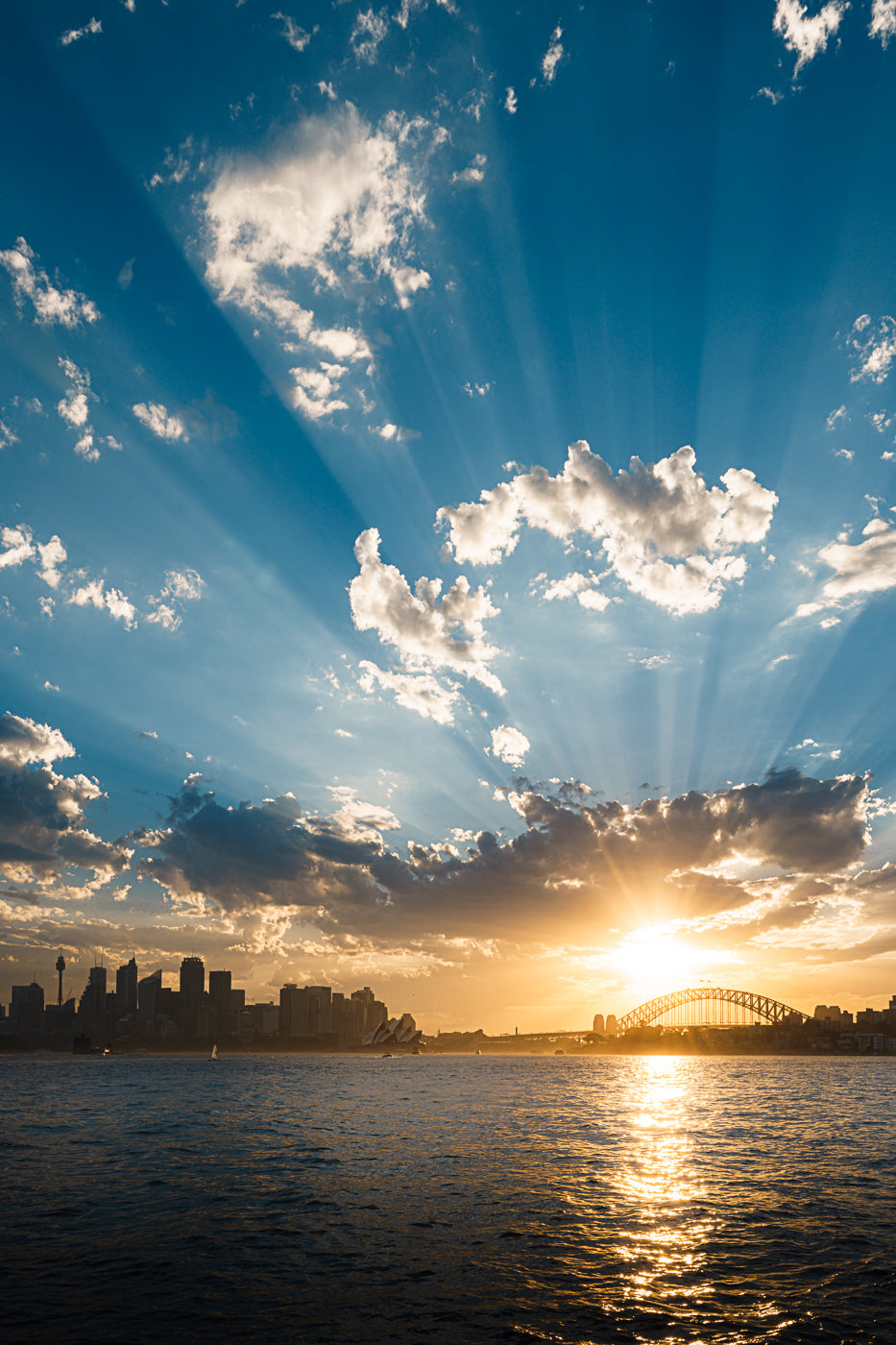 Harbour Rays