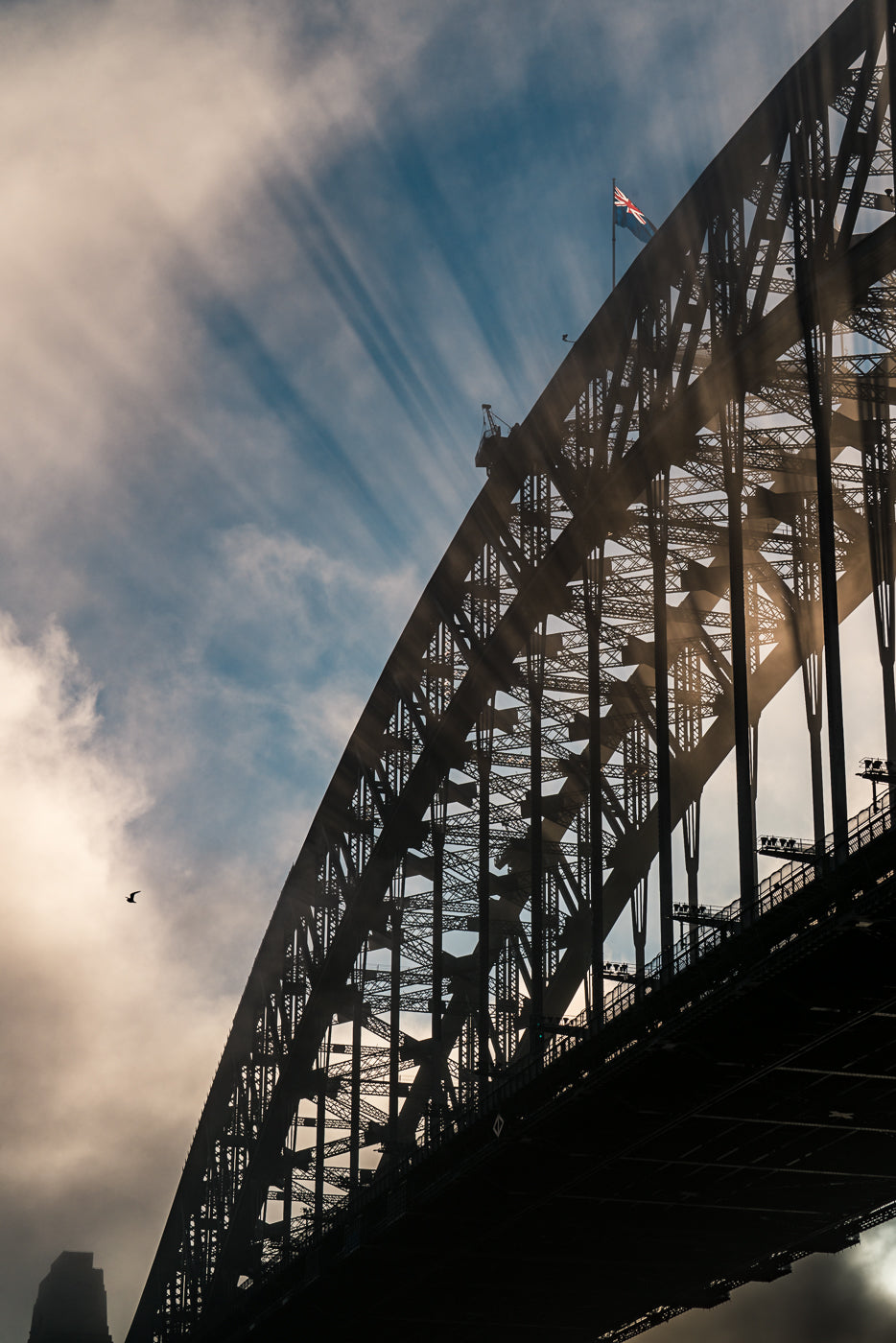 Harbour Bridge Rays