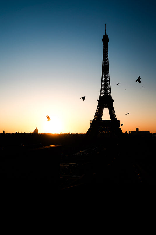 Birds Of Eiffel
