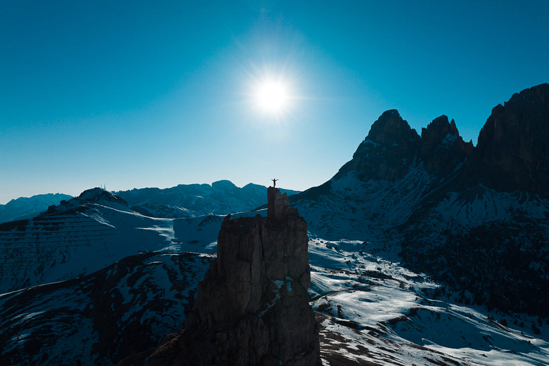 Mountain Goat