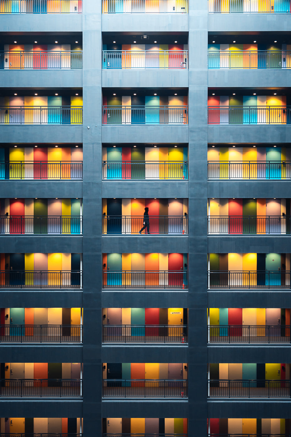 Colors of Tokyo