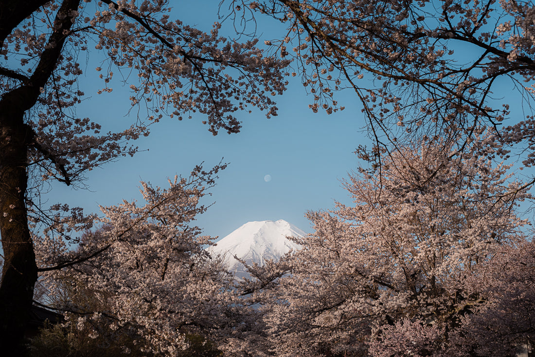 Moon Fuji