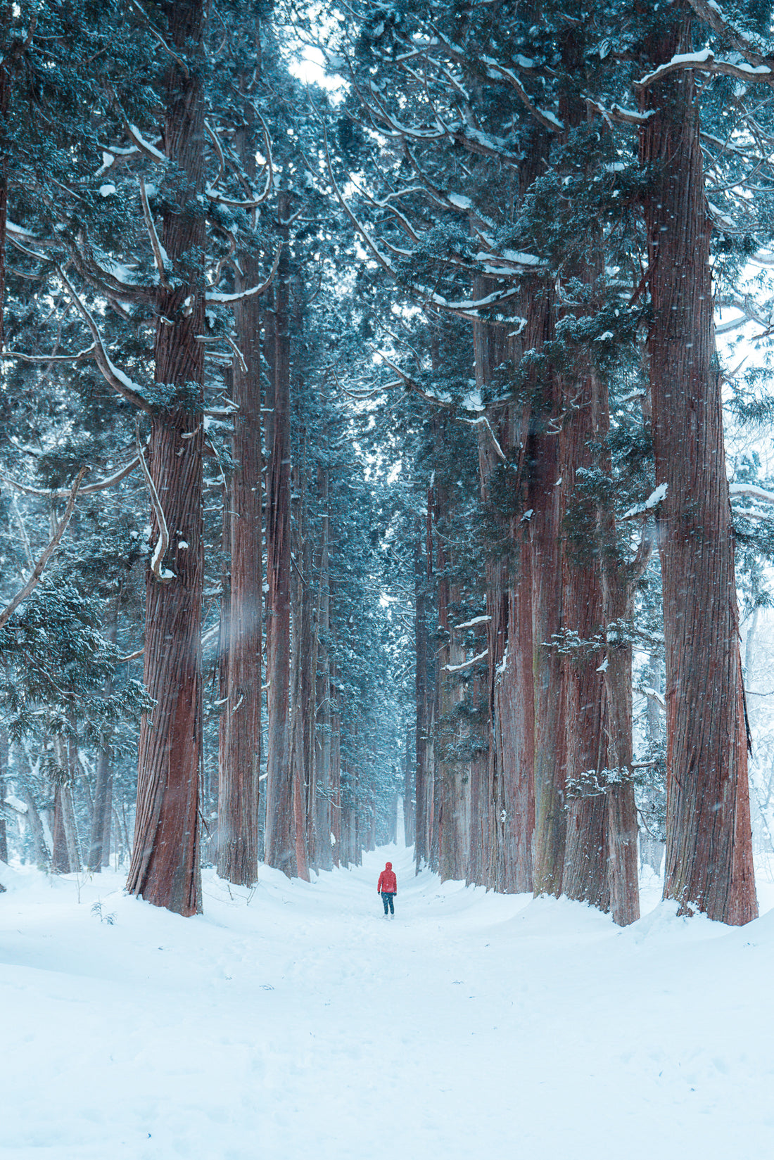 Among Giants