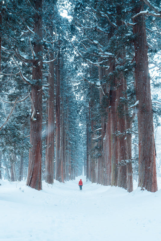 Among Giants