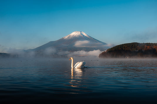 A Special Fuji Morning