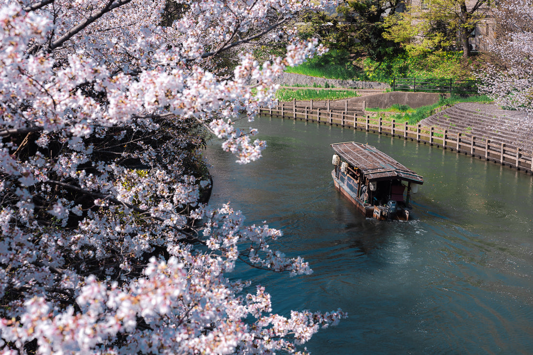Spring Canal