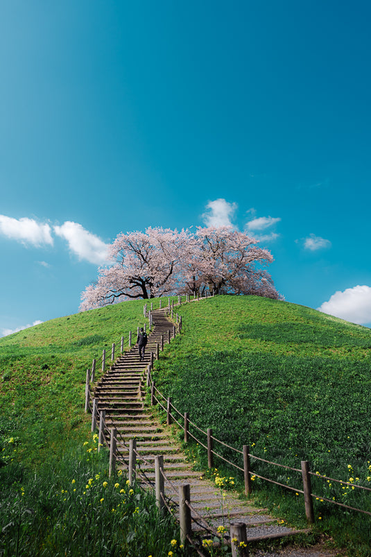 Kofun