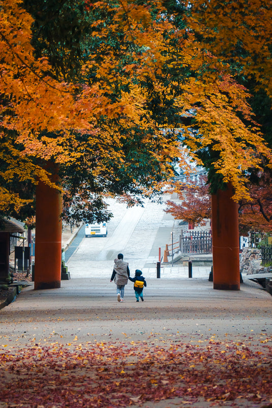 Autumn Walk