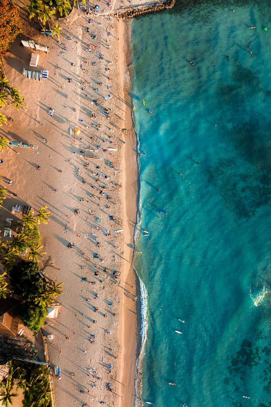 Paradise