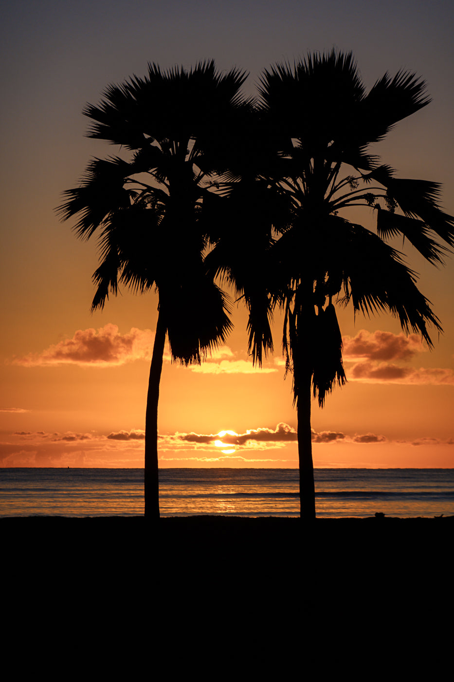 Hawaiian Frames