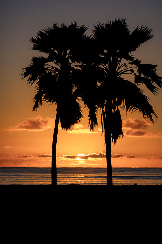 Hawaiian Frames