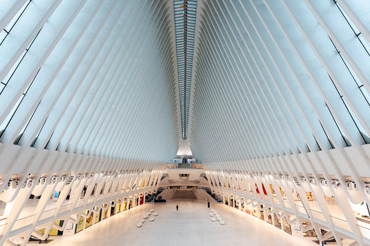New York Lines